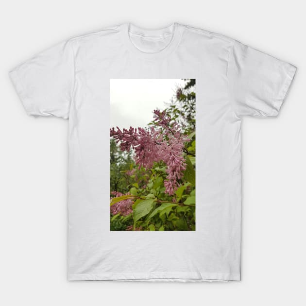 Lilacs in the Rain T-Shirt by MirandaMarcy